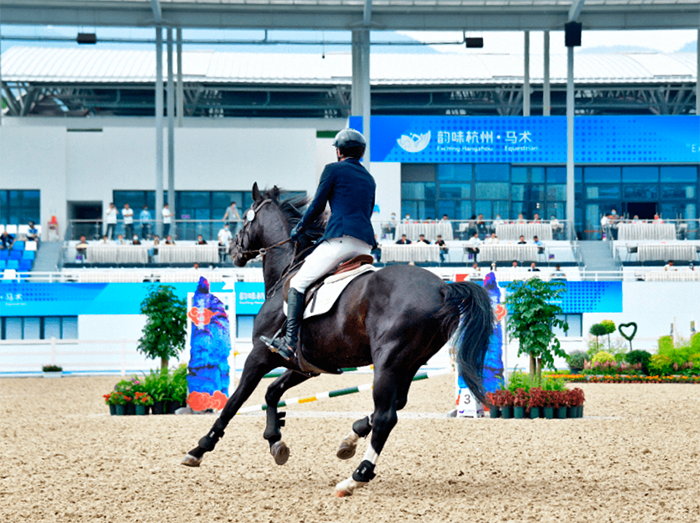 20230815亚运马术 (1).png压缩.png